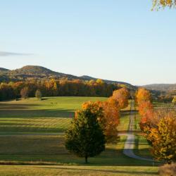 Maple Allée, Storm King Art Center, 2001
