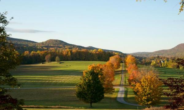 Maple Allée, Storm King Art Center, 2010