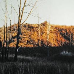 Early view looking east, Storm King Art Center, circa 1960