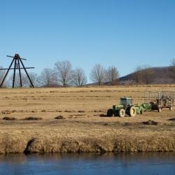 Burning grasses, Storm King Art Center, 2010