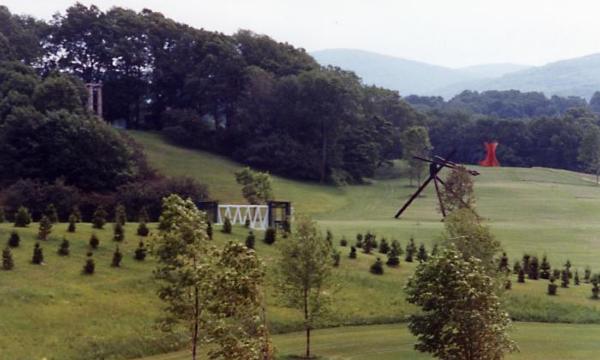 Trees, Storm King Art Center, 1993