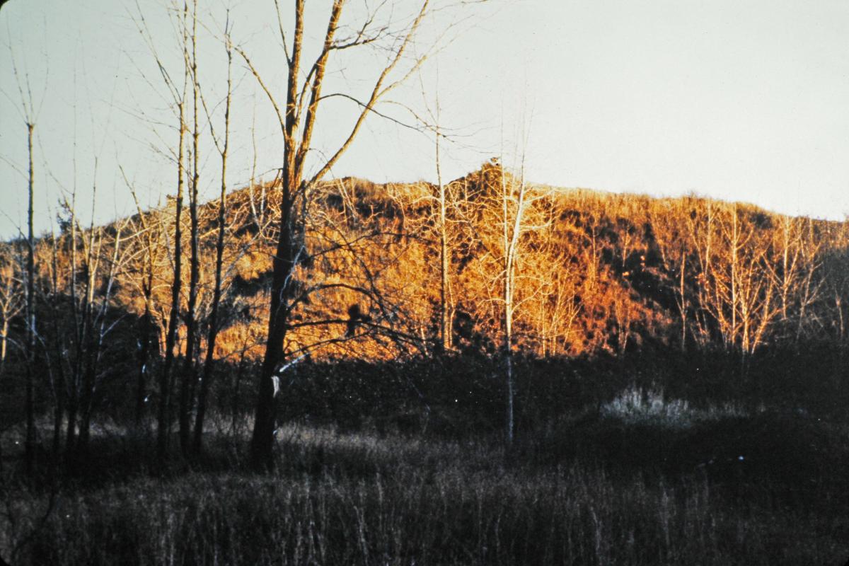 Early view looking east, Storm King Art Center, circa 1960