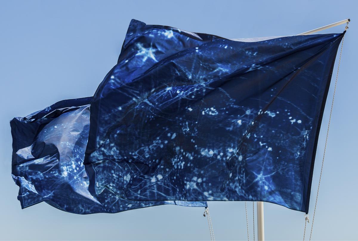 Kiki Smith: Water