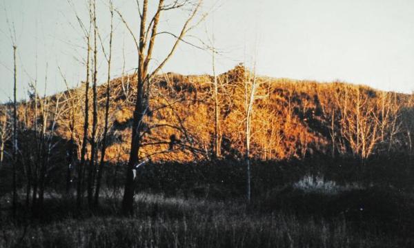 Early view looking east, Storm King Art Center, circa 1960