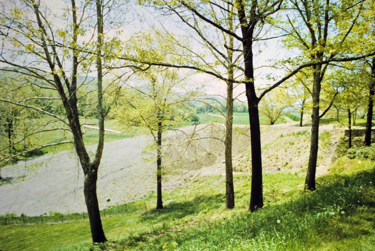 East hillside, Storm King Art Center, 1979-1980