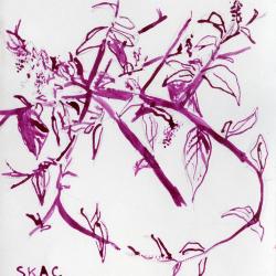 Jenny Hersh, <em>Fruit and Alum</em>, 2019