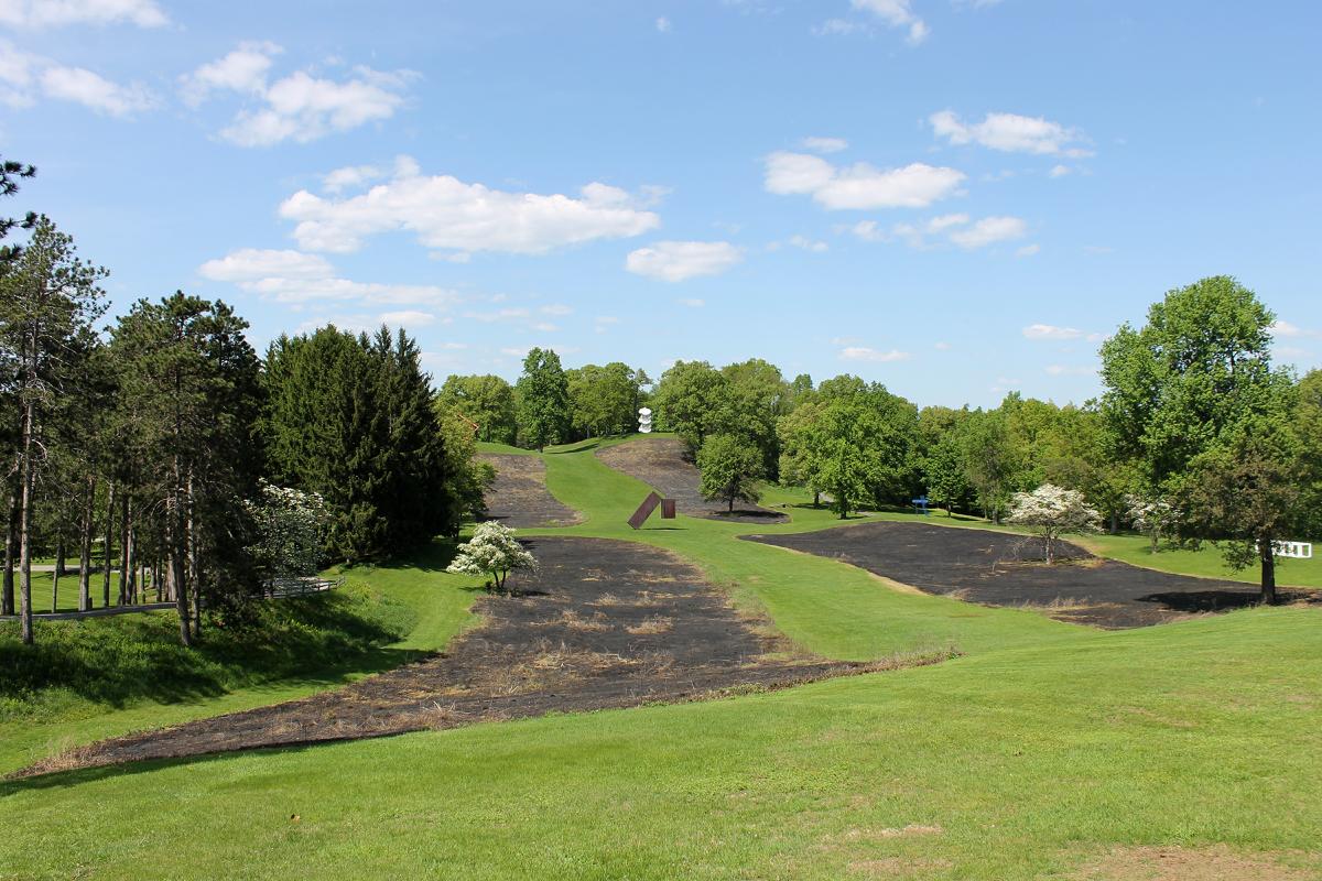 Grass Burning in the Northwoods, 2018