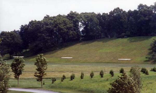 Trees, Storm King Art Center, 1993