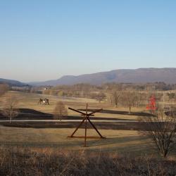 Landscape grasses, Storm King Art Center, Fall 2012