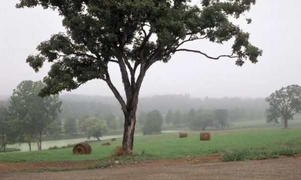 Farming, Storm King Art Center, 2001