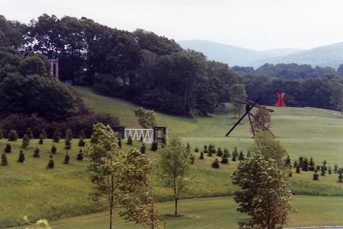 Trees, Storm King Art Center, 1993