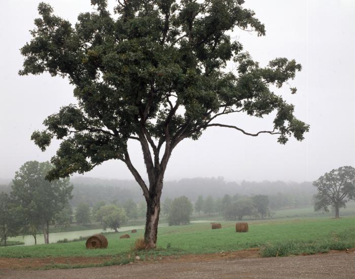 Farming, Storm King Art Center, 2001