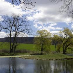 Soil samples, Storm King Art Center, 2018