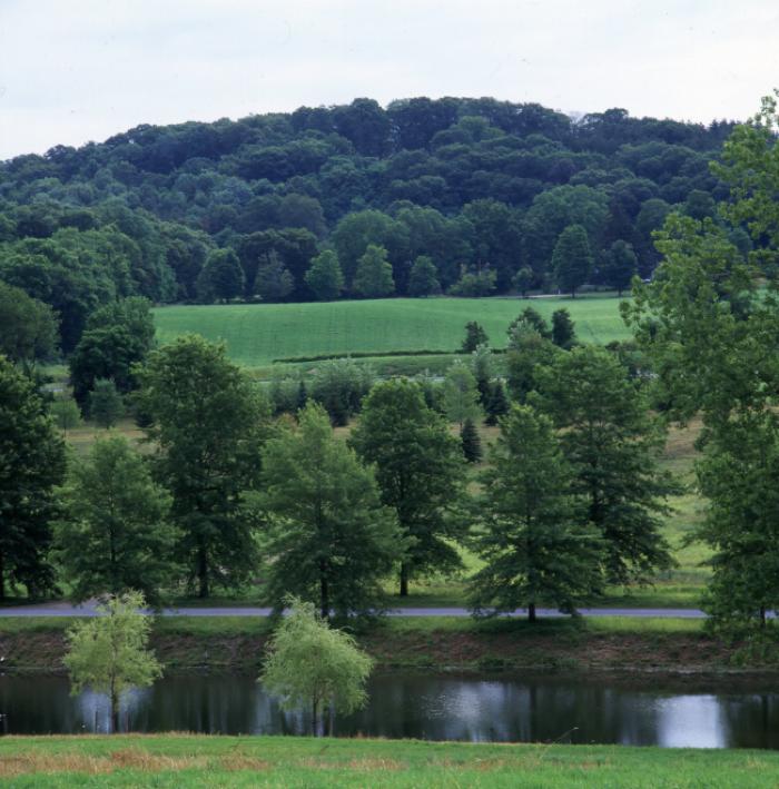 Pin Oaks, Bunny Road, Storm King Art Center