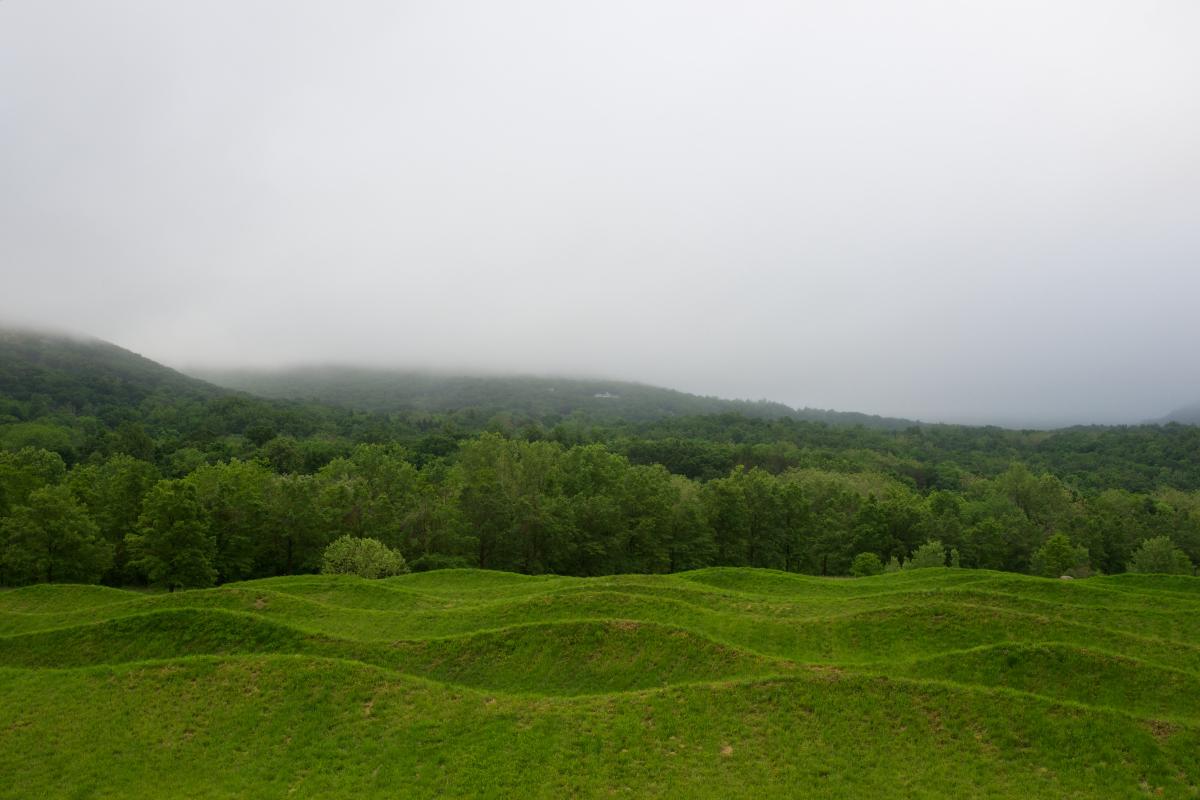 Maya Lin, <i>Storm King Wavefield</i>, 2007–08 (installation view, 2012)