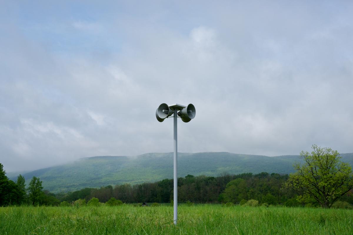 Peter Coffin (with Bob James), <i>Untitled (Sunshine)</i>, 2012 (installation view, 2012)