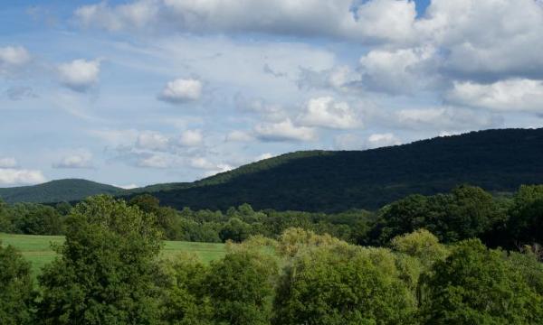 Viewshed, Storm King Art Center, 2016