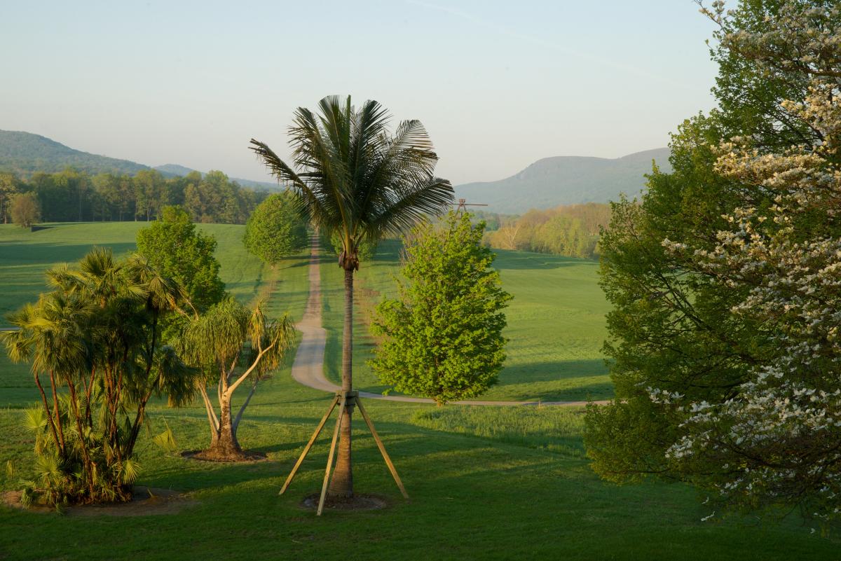 Mary Mattingly, <em>Along the Lines of Displacement: A Tropical Food Forest</em>, 2018 (installation view, 2018)