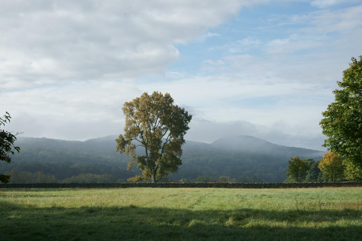 Andy Goldsworthy, <i>Storm King Wall</i>, 1997–98 (installation view, 2009)