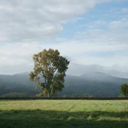 Andy Goldsworthy, <i>Storm King Wall</i>, 1997–98 (installation view, 2009)