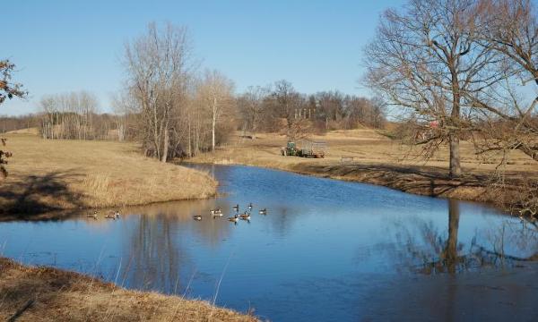 North pond, 2012
