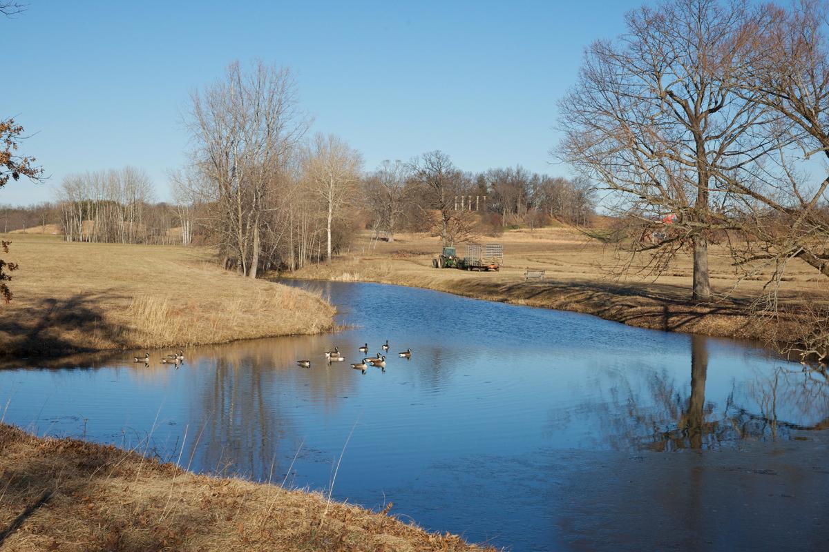 North pond, 2012