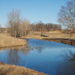 North pond, 2012