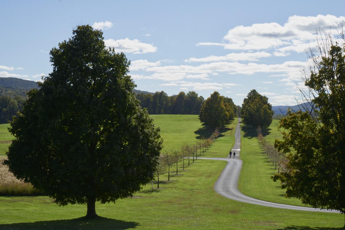 Allée, Storm King Art Center, 2018