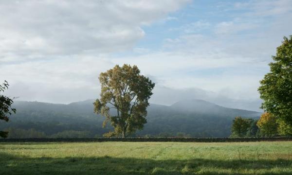 Andy Goldsworthy, <i>Storm King Wall</i>, 1997–98 (installation view, 2009)