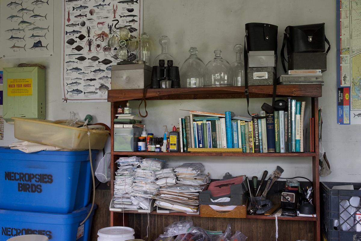 Mark Dion, <em>The Field Station of the Melancholy Marine Biologist</em>, 2018 (installation view, 2018)