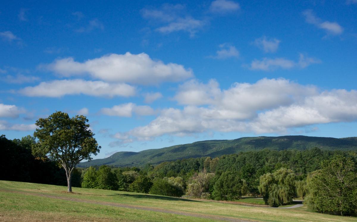 Viewshed, Storm King Art Center, 2016