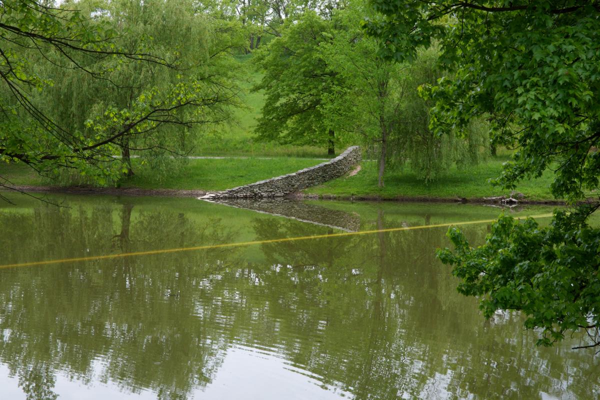 William Lamson, Last Light, 2012<br />
(installation view, 2012)