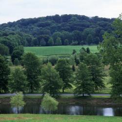 Pin Oaks, Bunny Road, Storm King Art Center
