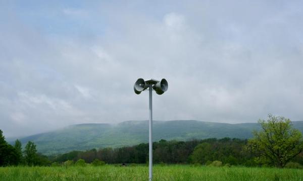Peter Coffin (with Bob James), <i>Untitled (Sunshine)</i>, 2012 (installation view, 2012)