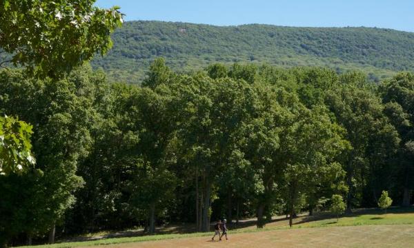 Landscape, Storm King Art Center, 2016