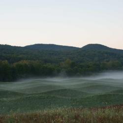 Maya Lin, <i>Storm King Wavefield</i>, 2007–08 (installation view, 2010)