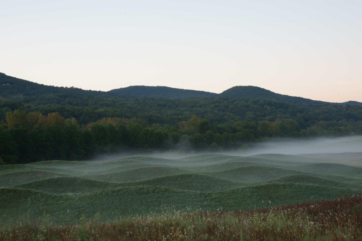 Maya Lin, <i>Storm King Wavefield</i>, 2007–08 (installation view, 2010)