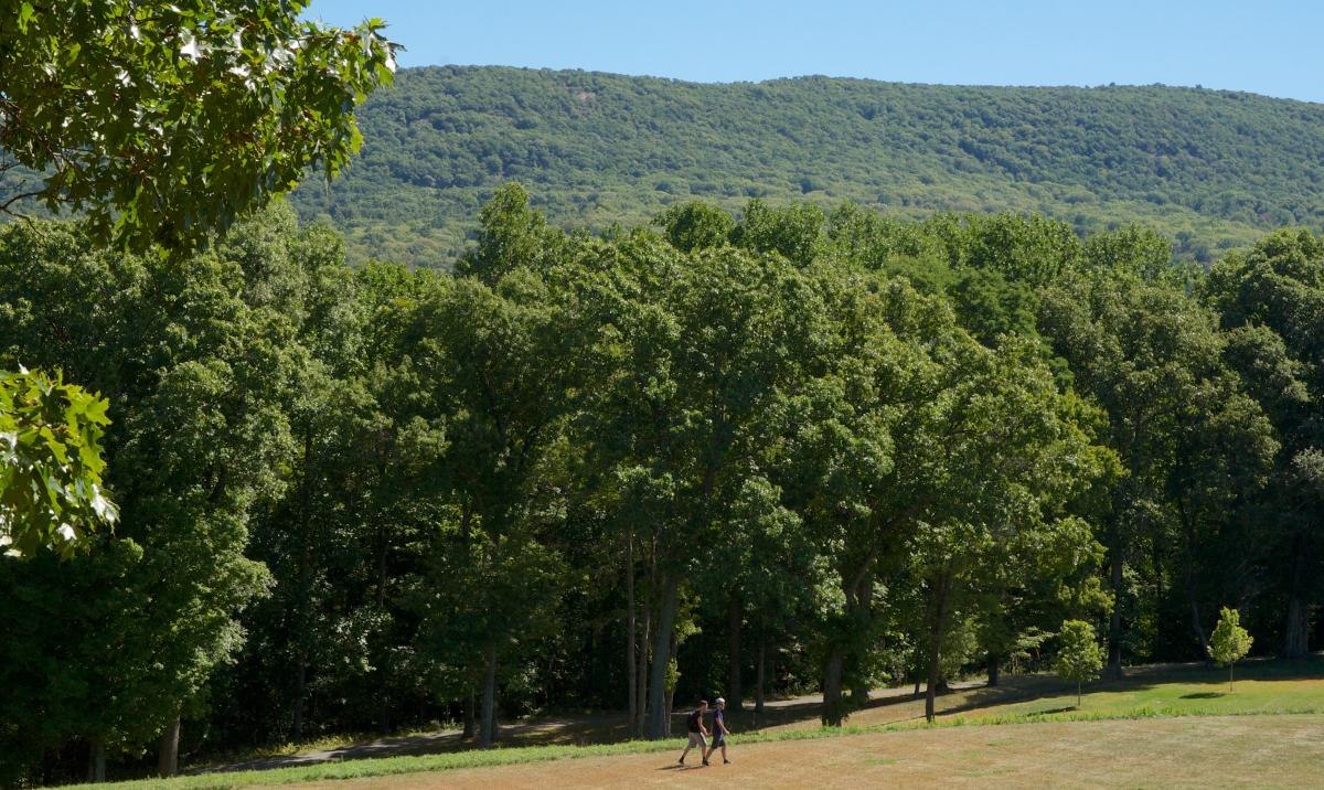 Landscape, Storm King Art Center, 2016