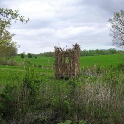 <em>Ionic Columns</em>, Storm King Art Center, 2016