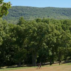 Landscape, Storm King Art Center, 2016