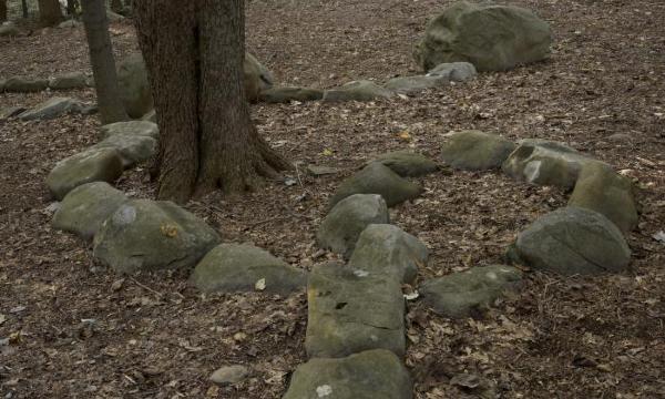 Patricia Johanson,&nbsp;<i>Nostoc II</i>, 1975<br />
(installation view, 2011)
