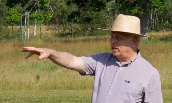 David R. Collens, Director and Chief Curator, Storm King Art Center, 2015
