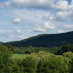 Viewshed, Storm King Art Center, 2016