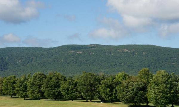 Viewshed, Storm King Art Center, 2016
