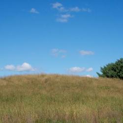 Landscape, Storm King Art Center, 2016