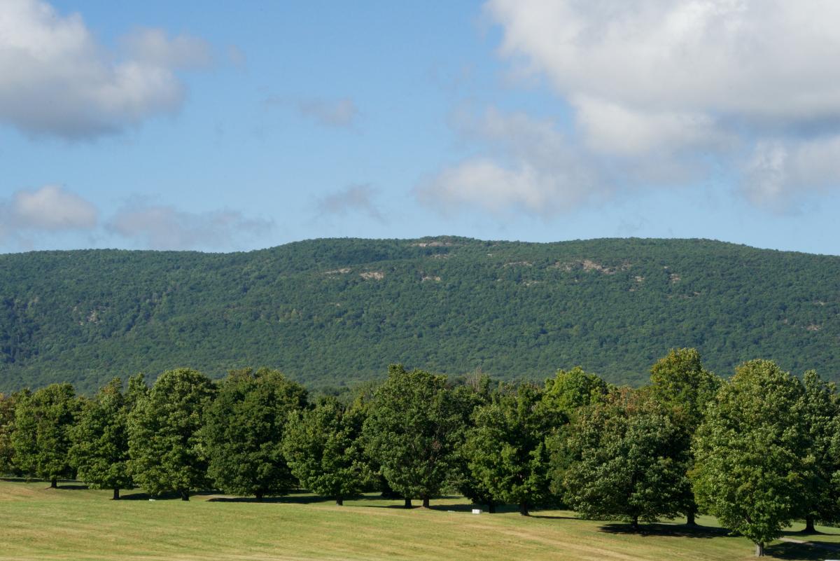 Viewshed, Storm King Art Center, 2016