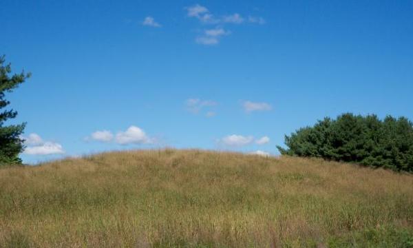 Landscape, Storm King Art Center, 2016