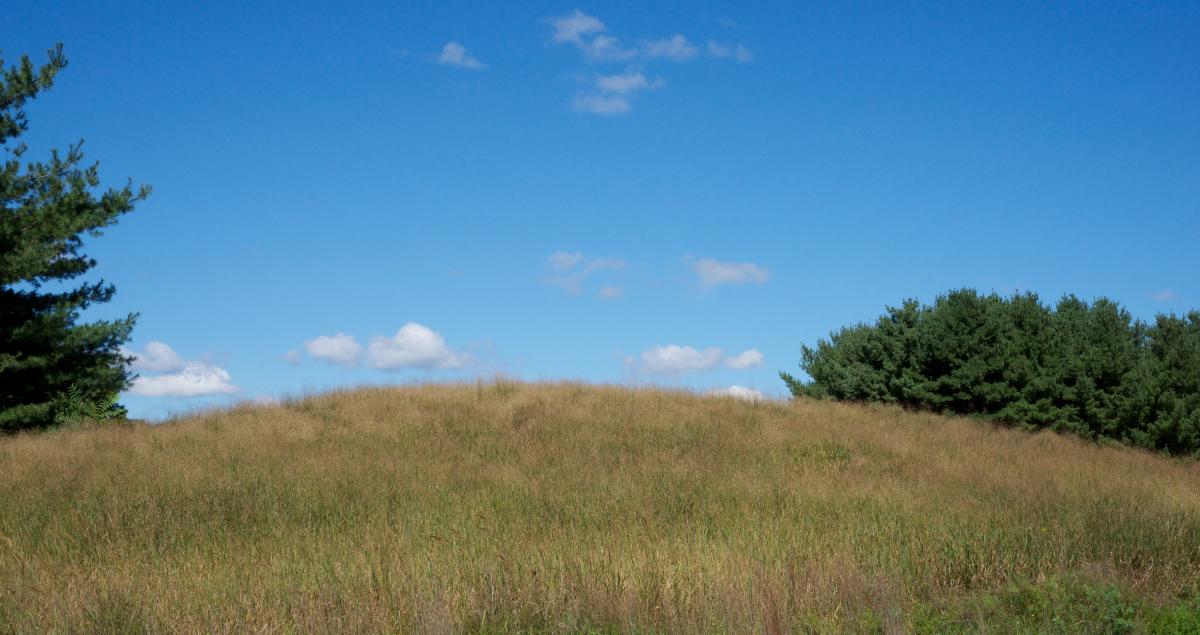 Landscape, Storm King Art Center, 2016