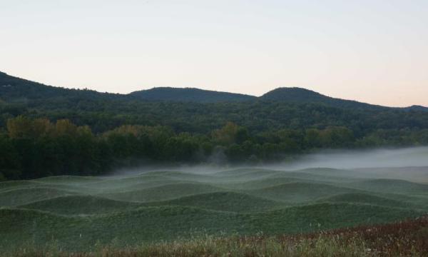 Maya Lin, <i>Storm King Wavefield</i>, 2007–08 (installation view, 2010)