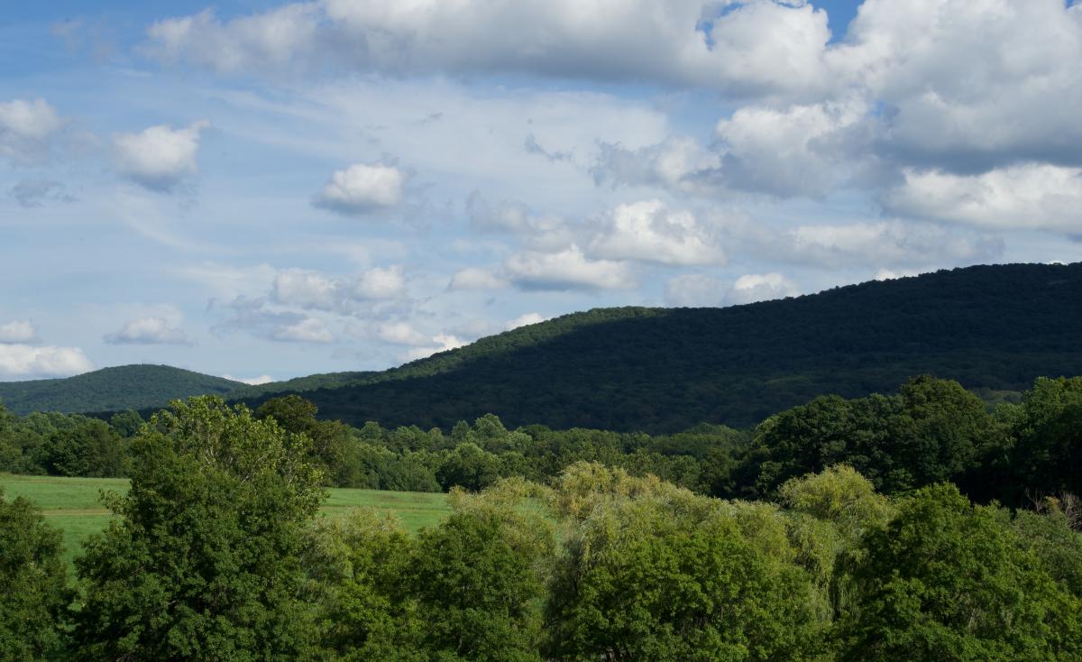 Viewshed, Storm King Art Center, 2016